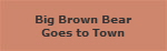 Big Brown Bear
Goes to Town