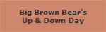 Big Brown Bear's
Up & Down Day