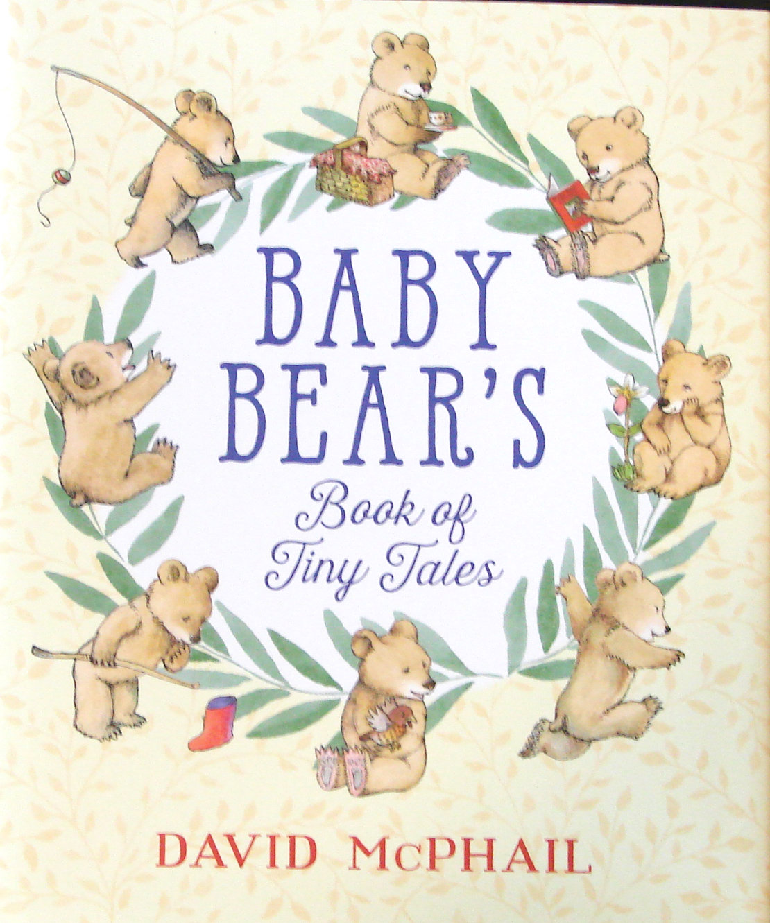 Baby Bears Book