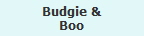 Budgie &
Boo